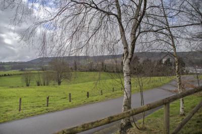 Прикрепленное изображение: IMG_5856_7_8_Optimizer_w.jpg